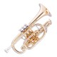 Photo of the Cornet John Packer JP271SW MKII