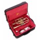 Photo of the Cornet John Packer JP271SW MKII inside the case