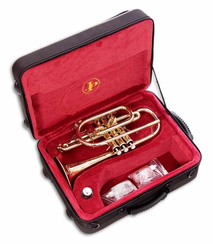 Photo of the Cornet John Packer JP271SW MKII inside the case