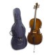 Photo of cello Stentor Student I 3/4 with the bag