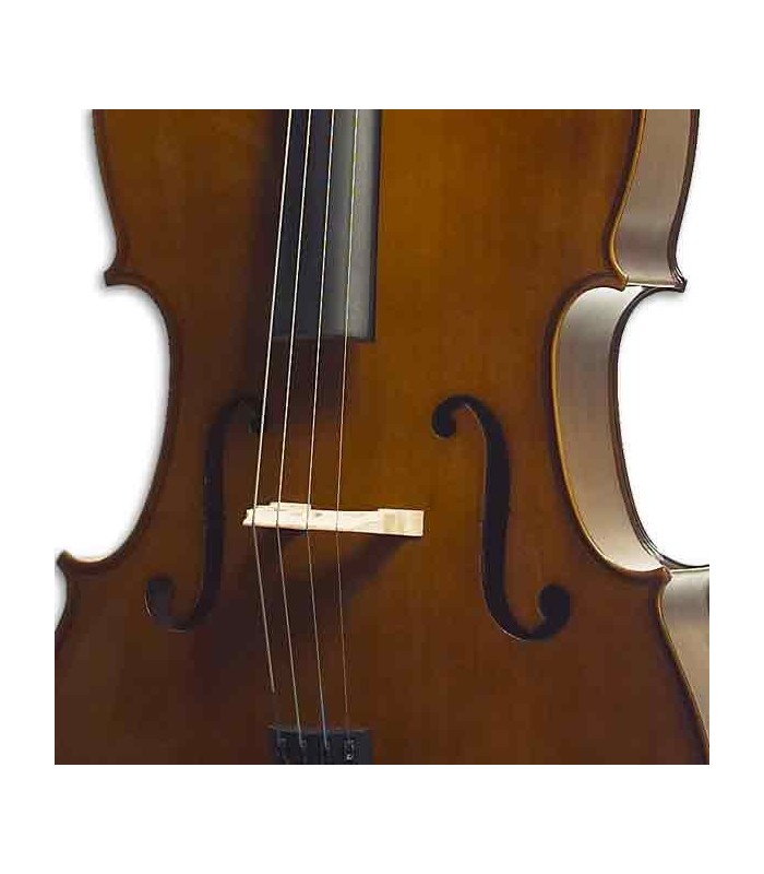Body of cello Stentor Student II 3/4 SH 