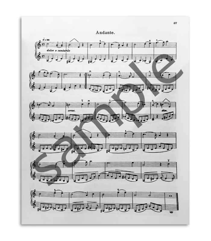 Livro Mathieu Crickboom para Violino Teórico e Prático Vol 2 SF6560