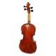 Back of violin Stentor Conservatoire 4/4