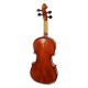 Back of violin Stentor Conservatoire 4/4
