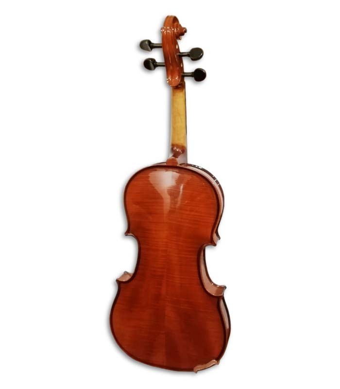 Back of violin Stentor Conservatoire 4/4