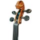 Head of violin Stentor Conservatoire 4/4