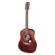Cuerpo de la guitarra Fender CD 60S All Mahogany
