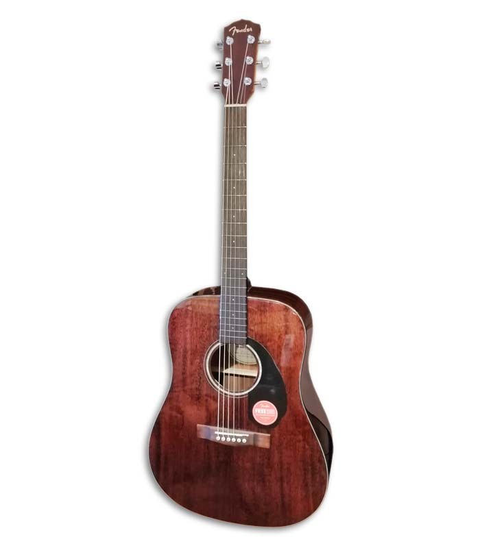 Cuerpo de la guitarra Fender CD 60S All Mahogany