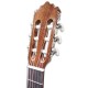 Cabeza de la guitarra clásica Paco Castillo 201