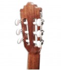 Carrilhões da guitarra clássica Paco Castillo 201