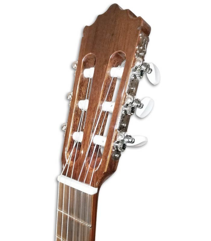 Cabeza de la guitarra clásica Paco Castillo 201 3/4 