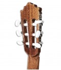 Carrilhões da guitarra clássica Paco Castillo 201 3/4 