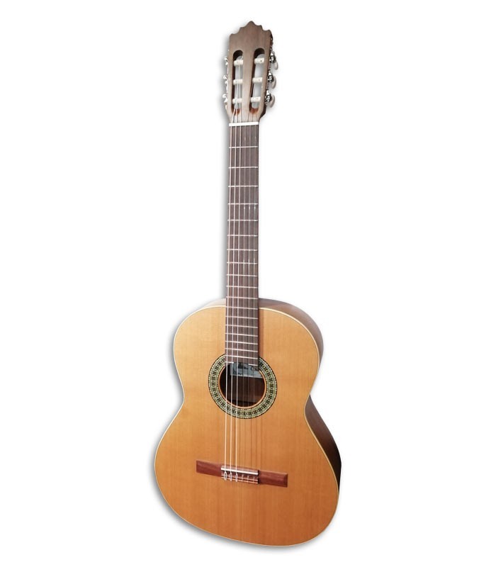Foto de la guitarra clássica Paco Castillo 201 