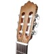 Cabeza de la guitarra clássica Paco Castillo 201 