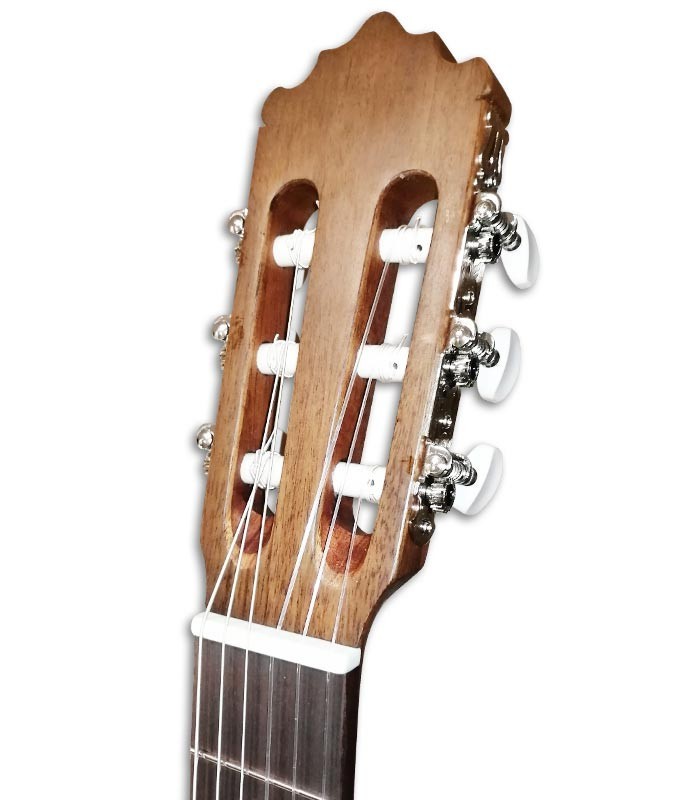 Head of classical guitar Paco Castillo 201 