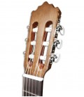 Cabeça da guitarra clássica Paco Castillo 201 