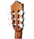 Carrilhões da guitarra clássica Paco Castillo 201 