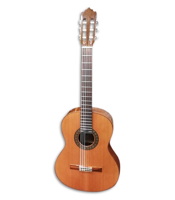 Foto frontal da guitarra Paco Castillo 202