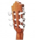 Carrilhões da guitarra Paco Castillo 202