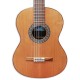 Body of guitar Paco Castillo 202