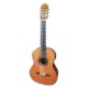 Photo of the Paco Castillo guitar 204 front and three quarters