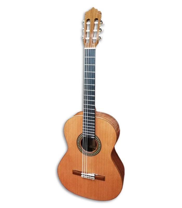 Photo of the Paco Castillo guitar 204 front and three quarters