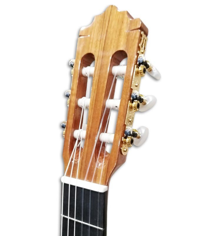 Photo of the Paco Castillo classical guitar 204 machine heads