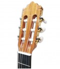 Foto guitarra clássica Paco Castillo 204 carrilhões