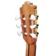 Foto guitarra clássica Paco Castillo 204 carrilhão