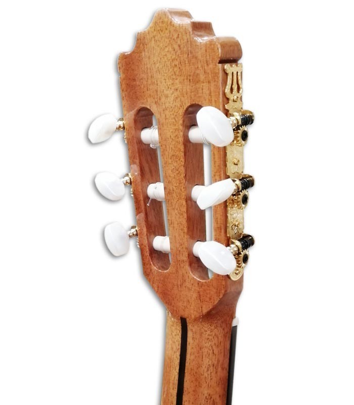 Photo of the Paco Castillo classical guitar 204 machine heads
