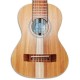 Photo of the APC Guitalele GT Traditional top and rosette