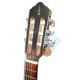 Foto guitalele APC GT tradicional cabeza