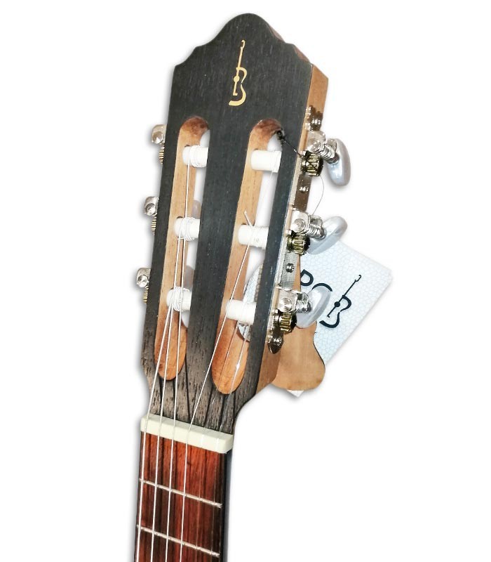 Foto guitalele APC GT tradicional cabeza