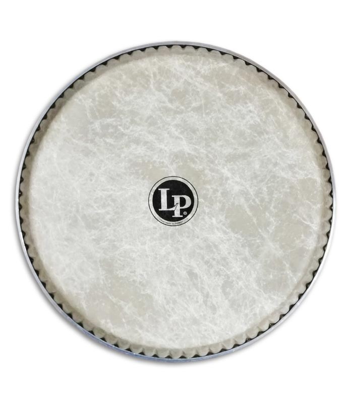 Photo of LP quinto head skin 11 inches model LP265AP front