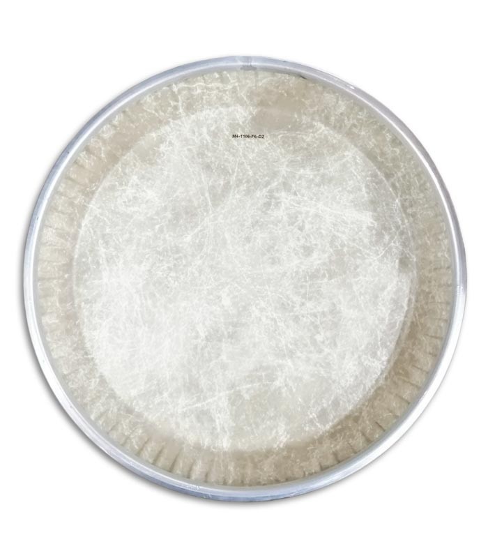 Foto Pele LP modelo LP265AP de 11 polegadas para Quinto trás