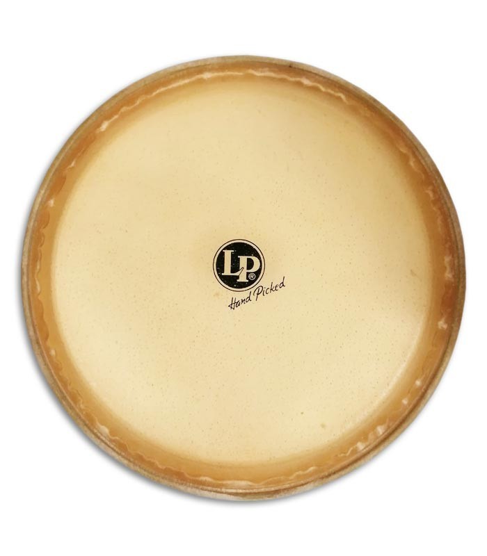 Photo of the LP quinto galaxy head skin LP274A model 11 inches front