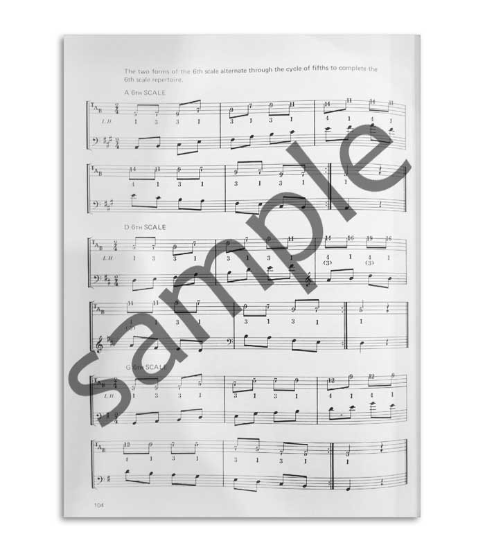 Foto de una muestra del interior del libro bass guitar scale manual