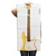 Foto del cartaz incluido no libro bass guitar scale manual