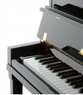 Foto detalhe do teclado do Piano Vertical Petrof P122 H1