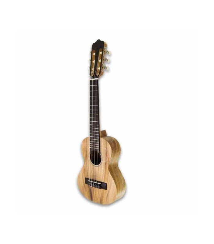 Foto do guitalele APC GS