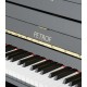 Foto del teclado y logo Piano Vertical Petrof P125 K1