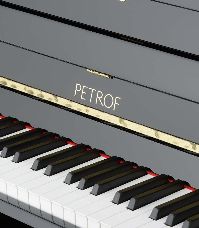 Foto do teclado e logo do Piano Vertical Petrof P125 K1