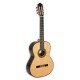 Photo of the classical guitar Paco Castillo model 205 front and three quarters