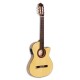 Flamenco guitar Paco Castillo model 233 FTE with a narrow  body and a solid spruce top