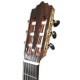 Photo of the head of the Paco Castillo classical guitar 240 model