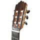 Photo of the head of the Paco Castillo classical guitar 240 model