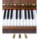 Foto detalhe do teclado e do logo do Piano Vertical Petrof P118 P1
