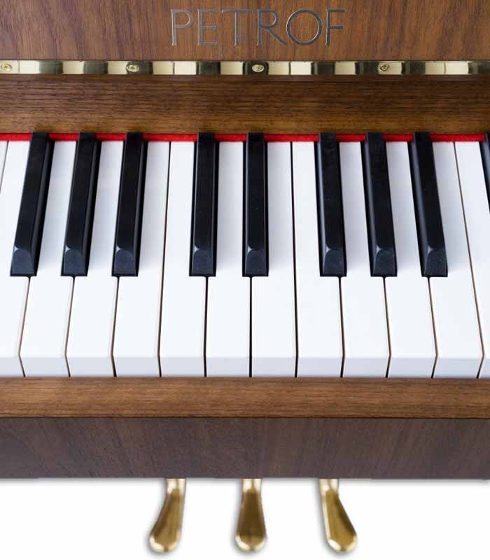 Foto detalle del teclado y logo del Piano Vertical Petrof P118 P1