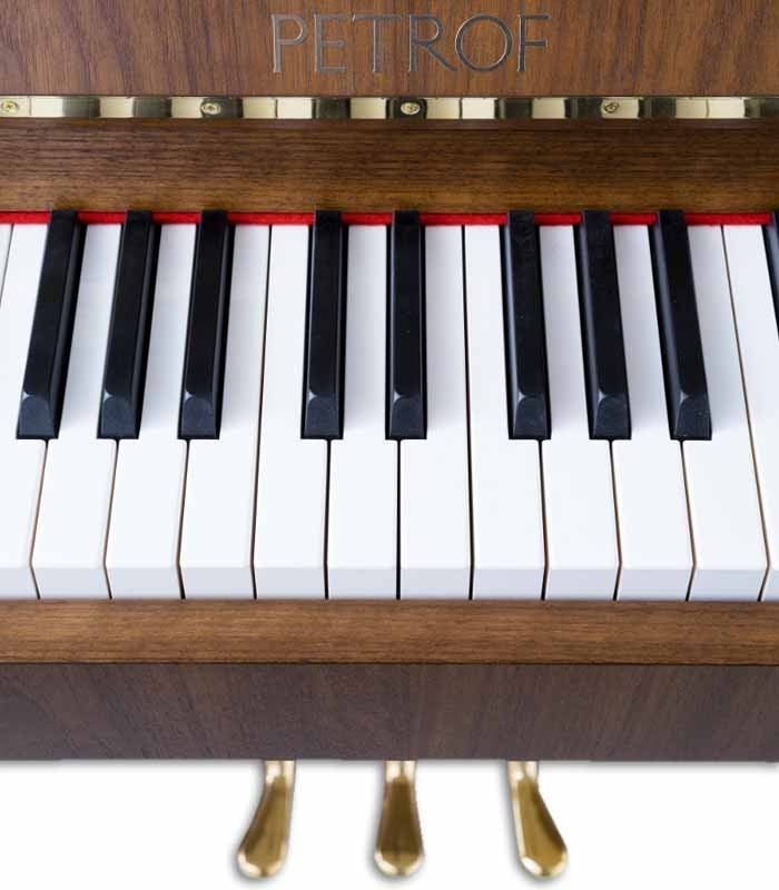 Foto detalhe do teclado e do logo do Piano Vertical Petrof P118 P1