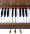 Foto detalhe do teclado e do logo do Piano Vertical Petrof P118 P1